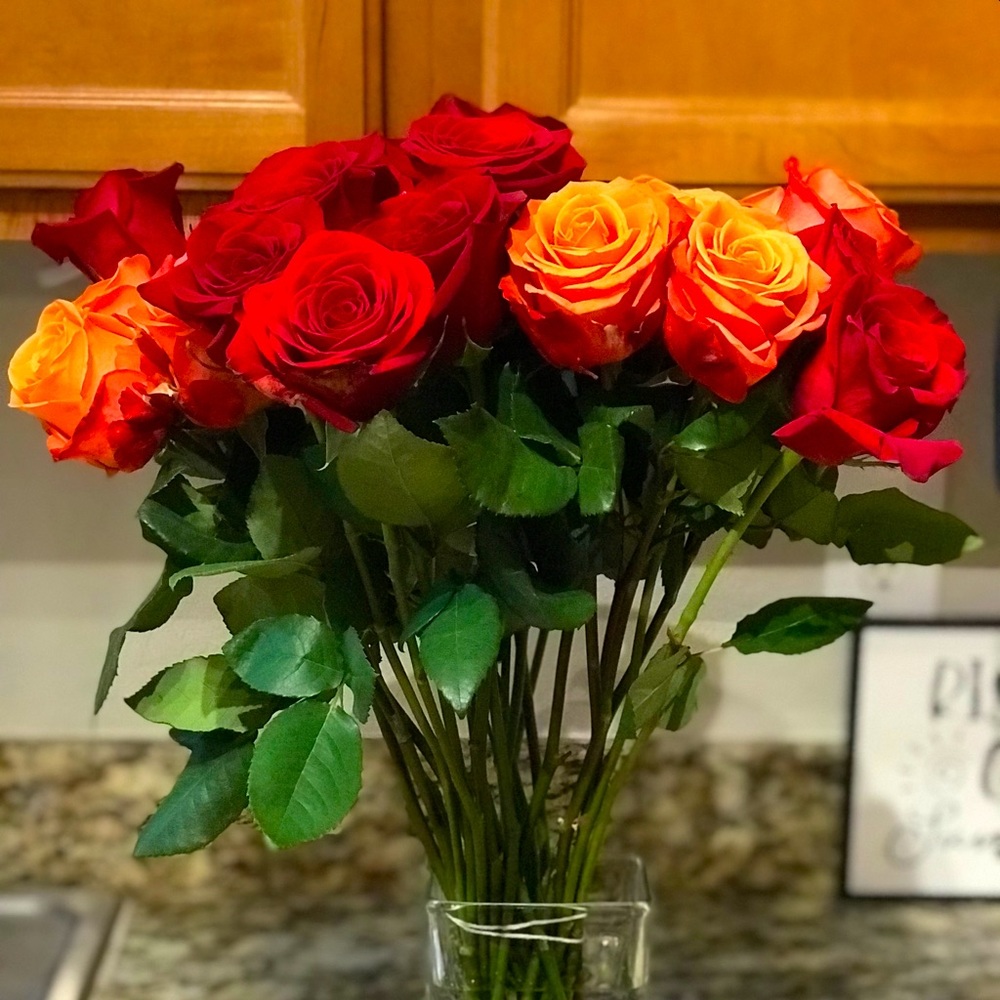 Meet your Posher, Kiem Lucci